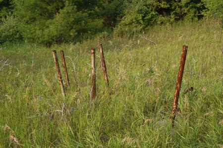 Traverse Drive-In Theatre - Speaker Poles